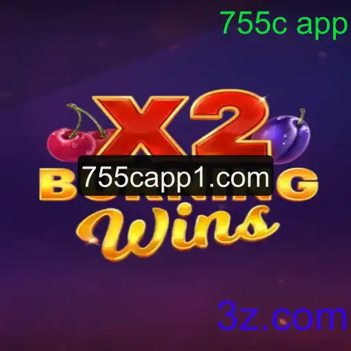 Explorando o Mundo de 'BurningWinsX2': Regras, Descrição e Mais